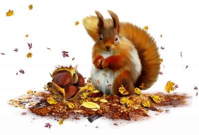 őszi állatok_139.png